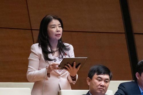 Mở rộng bổ nhiệm thẩm phán là người nước ngoài tại Tòa án chuyên biệt