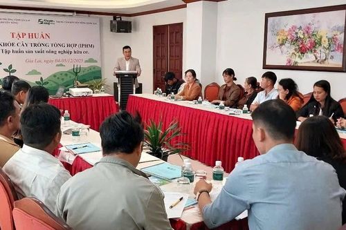 Gia Lai: Tập huấn quy trình sản xuất nông nghiệp hữu cơ cho nông dân