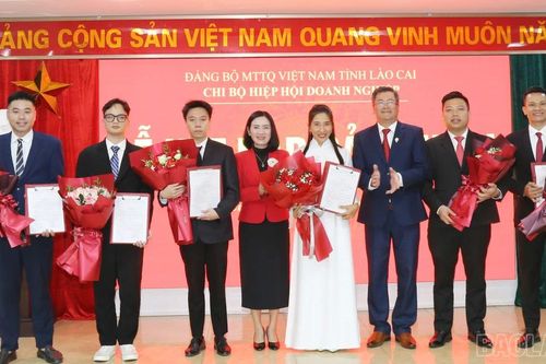 Chi bộ Hiệp hội Doanh nghiệp kết nạp mới 6 đảng viên