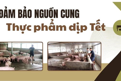 Đảm bảo nguồn cung thực phẩm dịp Tết