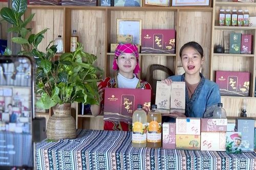 Chuyển đổi số tạo đà cho nông sản Lào Cai vươn xa