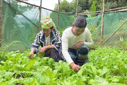 Chung sức vì mục tiêu giảm nghèo đa chiều, bền vững