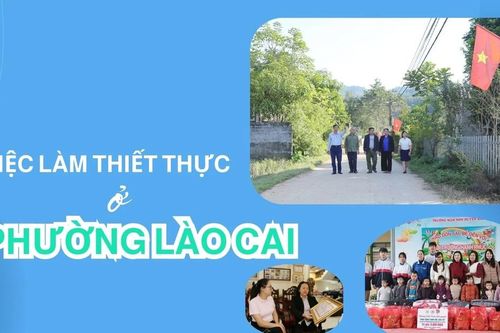 Việc làm thiết thực ở phường Lào Cai