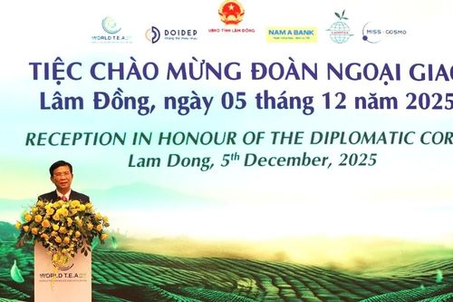 Nhiều hoạt động ý nghĩa trước thềm khai mạc World T.E.A Fest 2025