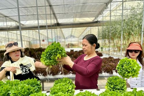 Lâm Đồng kiến tạo nông thôn mới bền vững