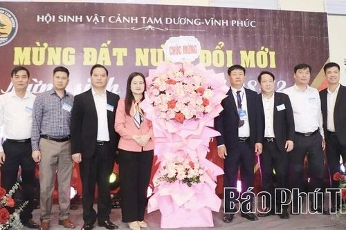 Hơn 400 tác phẩm tham gia Triển lãm sinh vật cảnh năm 2025