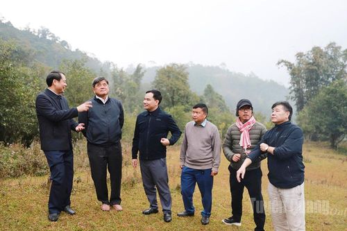 Thứ trưởng Bộ Nông nghiệp và Môi trường Trần Thanh Nam làm việc tại xã Hồ Thầu