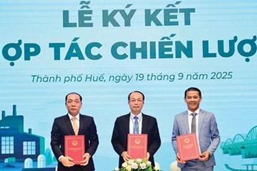 Khi chuyển đổi xanh không chỉ là khẩu hiệu