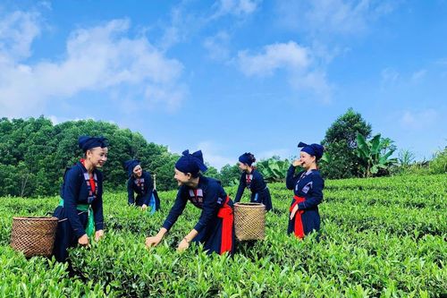 Thái Nguyên: Phát triển du lịch xanh, nâng cao sinh kế cộng đồng
