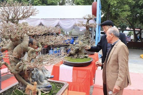 Phú Thọ: Triển lãm tác phẩm sinh vật cảnh nghệ thuật – Điểm hẹn của những tác phẩm giàu giá trị nghệ thuật