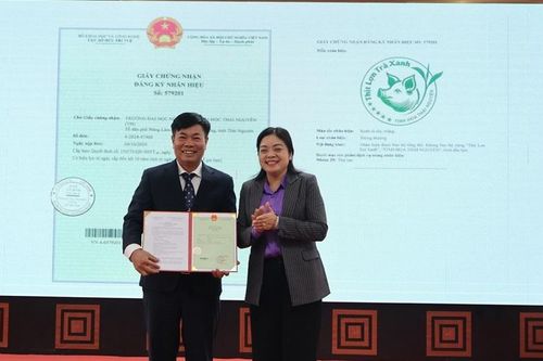 Độc đáo công trình nghiên cứu nuôi lợn bằng trà xanh Thái Nguyên