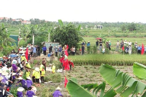 Hải Phòng phát huy công trình thủy lợi, nhân rộng vùng rươi cáy chất lượng cao