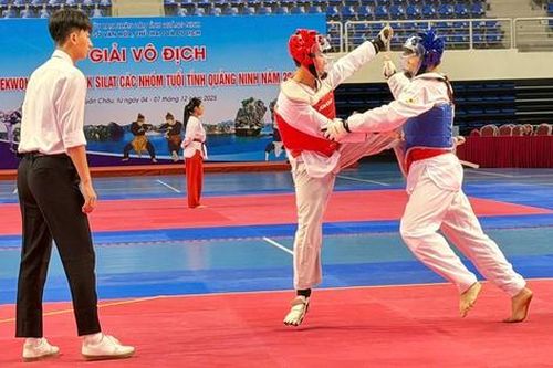 357 vận động viên tham gia Giải vô địch Pencak Silat – Taekwondo tỉnh Quảng Ninh
