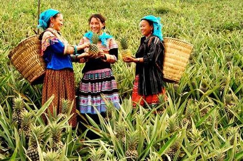 Sắc mới Bản Lầu