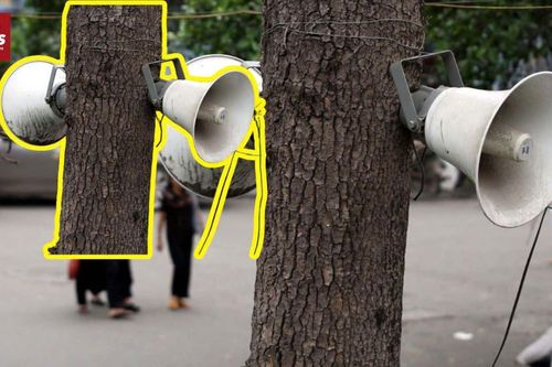 Loa phường 'réo' lúc 3h sáng ở Nghệ An: Cả xã mất ngủ, chính quyền xin lỗi