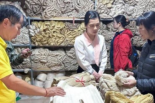 Sức bật mới của du lịch Hưng Yên