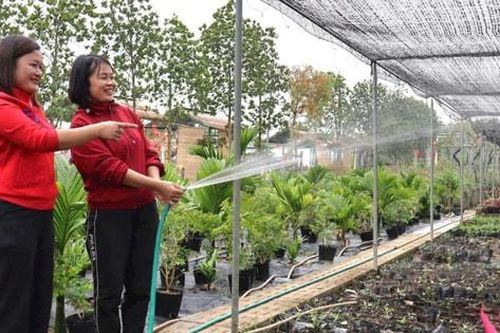 Náo nức trải nghiệm Festival làng nghề hoa, cây cảnh Tích Giang