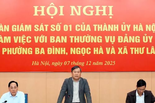 Chủ tịch UBND TP Hà Nội Vũ Đại Thắng: Thư Lâm tăng tốc giải phóng mặt bằng, thúc đẩy phát triển kinh tế - xã hội
