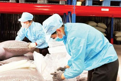 Tạo giá trị gia tăng, bền vững cho nông sản