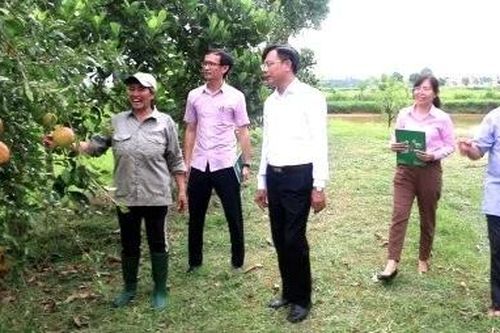 Chủ động triển khai, nâng cao hiệu quả