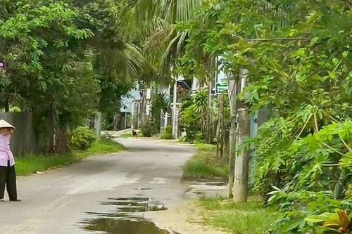 Về nhà sau bão