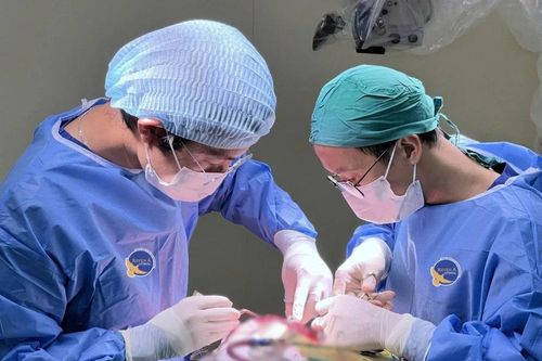 Nam sinh đau đầu, chóng mặt thường xuyên do u vùng tuyến tùng hiếm gặp