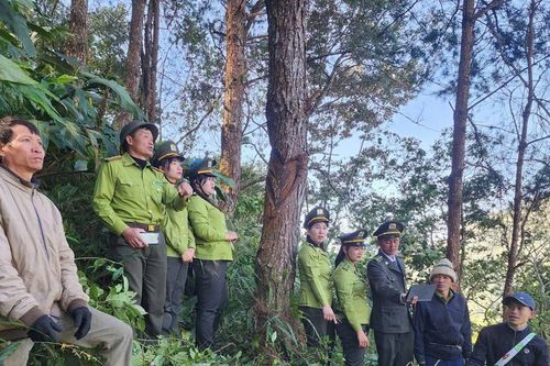 Khu bảo tồn thiên nhiên Mường La làm tốt công tác bảo vệ rừng