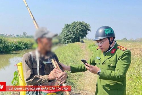 Lập tổ công tác giải quyết tội phạm về nguồn lợi thủy sản, động vật hoang dã