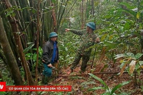 Phát hiện vết nứt lớn trên đồi, tăng cường giám sát an toàn khu dân cư