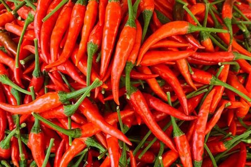 Giá rau xanh hạ nhiệt, ớt tươi cao bất thường 160.000 đồng/kg
