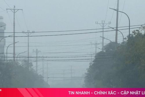 Hà Tĩnh: Sương mù dày đặc, giao thông gặp khó