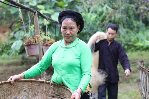 Khai thác lợi thế bản địa, nguồn lực địa phương để nâng cao hiệu quả