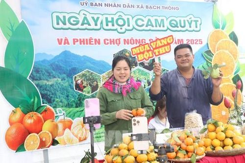 Thái Nguyên mở Ngày hội cam, quýt, thúc đẩy nông sản vào chuỗi giá trị