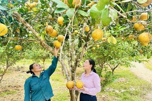 Hạ lãi suất nhiều chương trình tín dụng chính sách