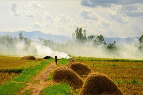 Giữ giọng quê mình