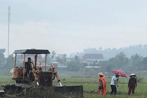 Cải tạo đồng ruộng