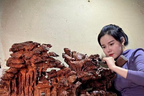 Nơi gỗ cất lời
