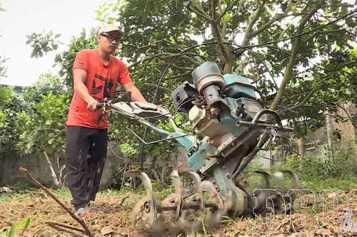Nông dân thay đổi tư duy, nâng cao giá trị sản xuất