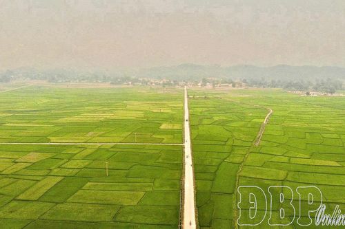 Khai thác lợi thế phát triển vùng chuyên canh cây trồng