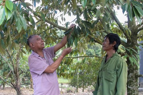 Xã Đông Khánh Sơn: Phát huy vai trò của người có uy tín