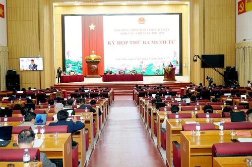 Thông qua các tờ trình, báo cáo thẩm tra dự thảo nghị quyết