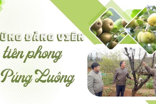 Những đảng viên tiên phong ở Púng Luông