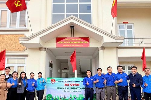 Tuổi trẻ UBND tỉnh Lâm Đồng đồng loạt chung tay làm mới cảnh quan công sở