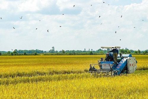 Gắn xây dựng nông thôn mới với giảm nghèo bền vững