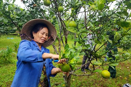 Thênh thang dạo bước xứ Cùa