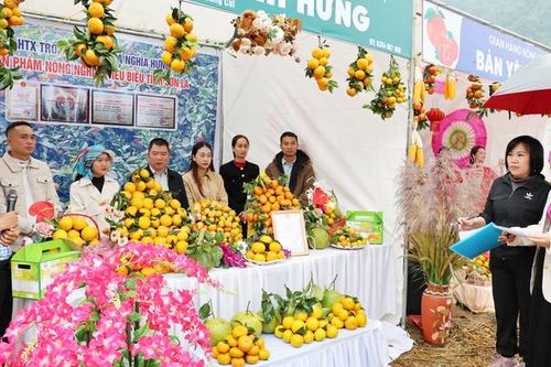 Thi trang trí, trưng bày sản phẩm cây ăn quả có múi xã Mường Cơi năm 2025