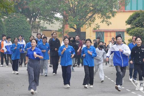 Gần 300 vận động viên tham gia Giải chạy UpRace 2025 vì người khuyết tật và trẻ mồ côi
