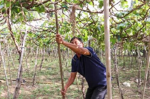 Người dân Khánh Hòa nỗ lực tái thiết cuộc sống sau lũ dữ