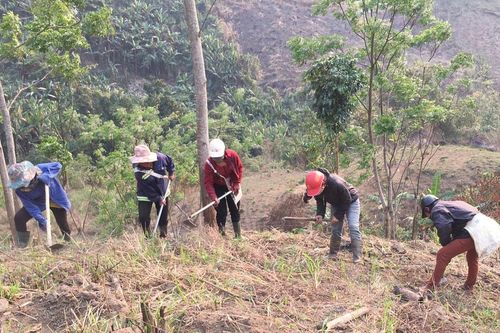 Đổi thay vùng đồng bào Dân tộc thiểu số thông qua Dự án 1