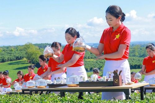 Lâm Đồng: Khép lại Lễ hội Trà quốc tế 2025 với nhiều dấu ấn